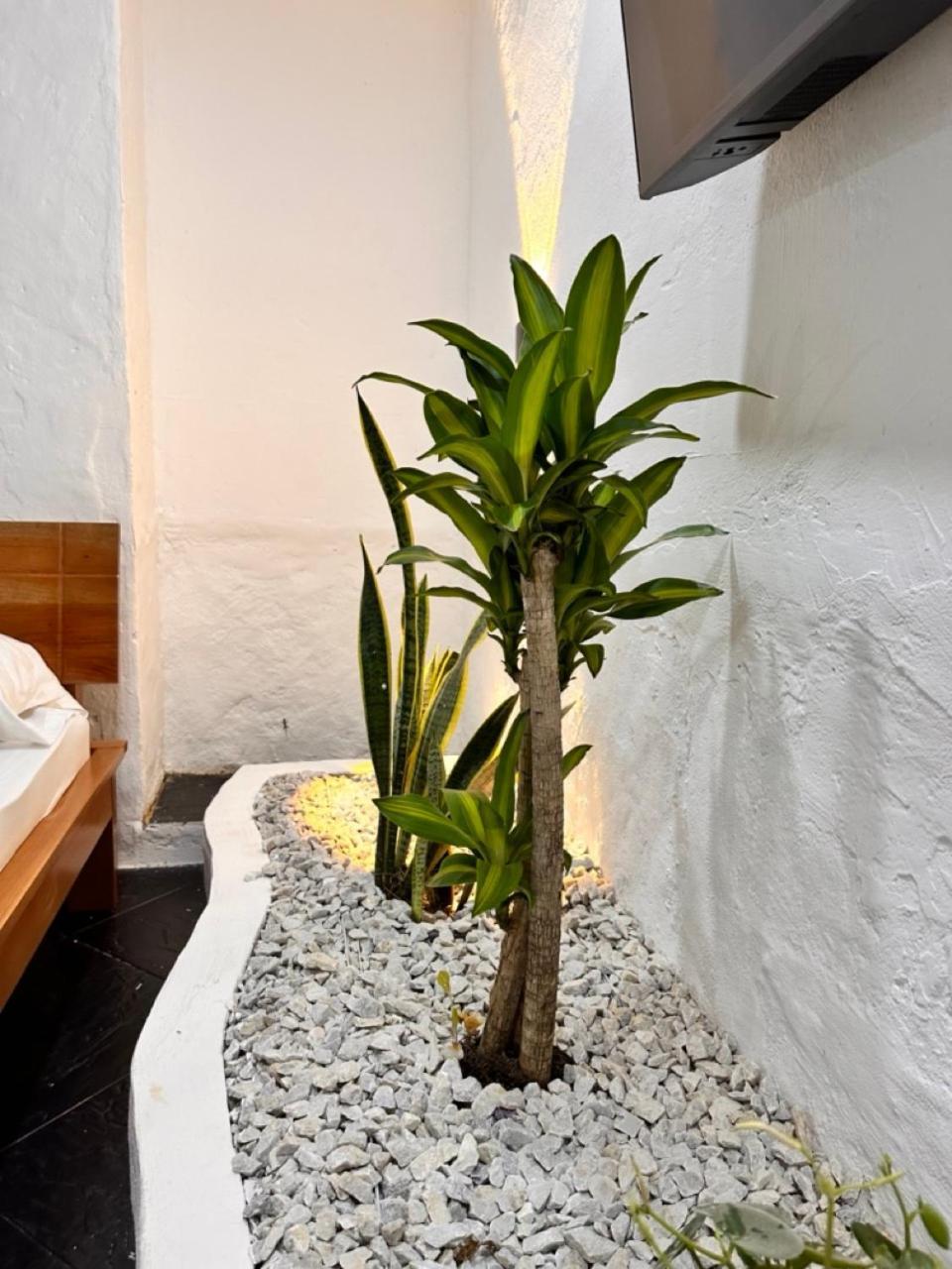 Cabanas San Jose Doradal Rum bild