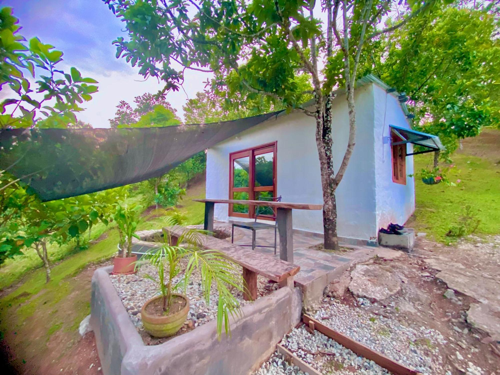 Cabanas San Jose Doradal Rum bild