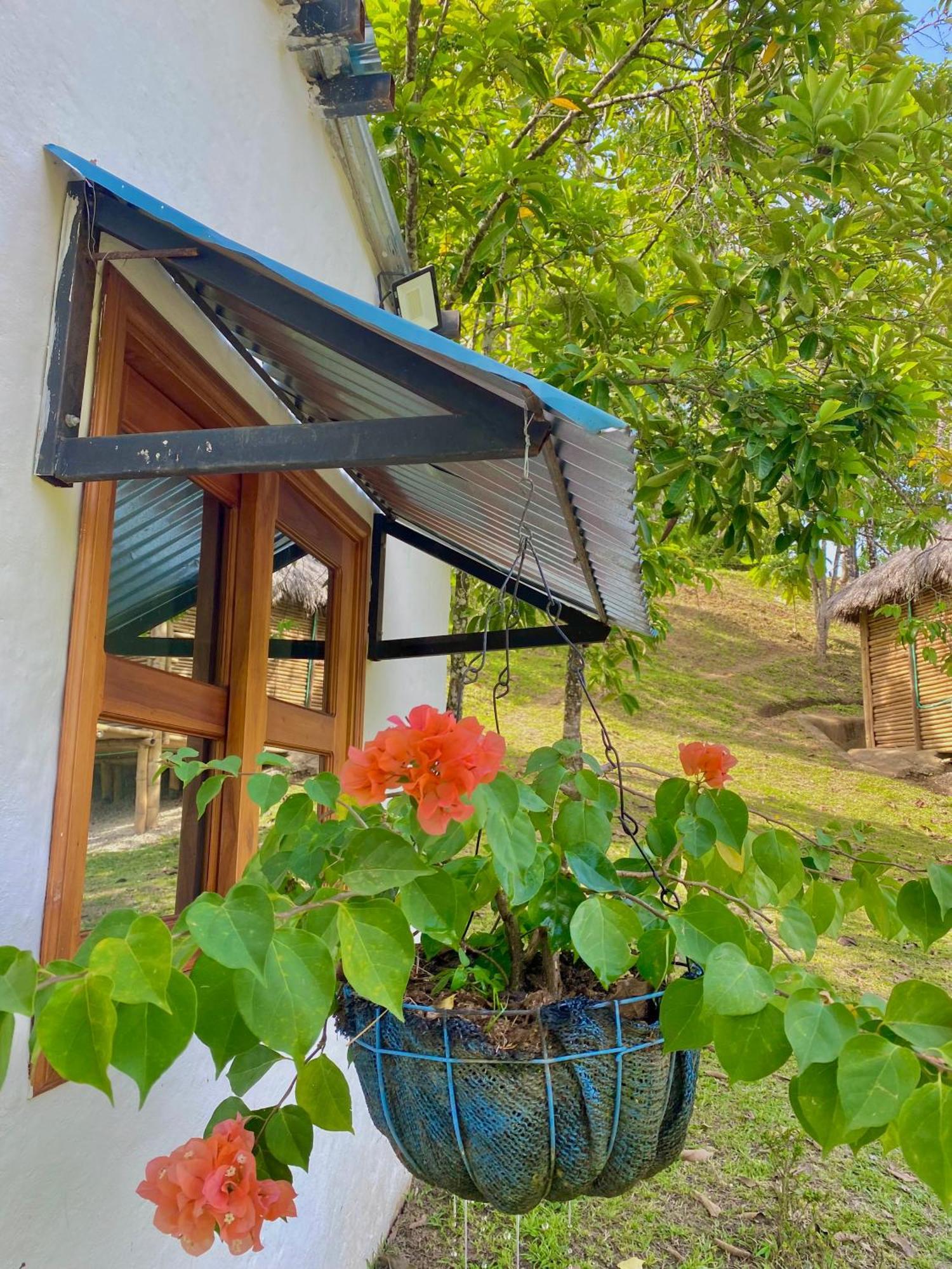 Cabanas San Jose Doradal Rum bild